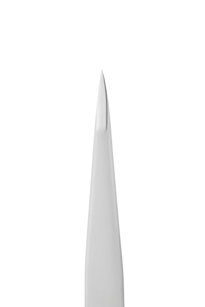 Staleks Pro Eyebrow Tweezers Expert 10 Type 5 Point (TE-10/5)