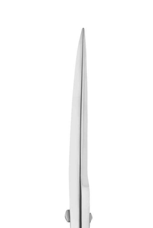 Staleks Pro Eyebrow Scissors Expert 30 Type 1 (SE-30/1)