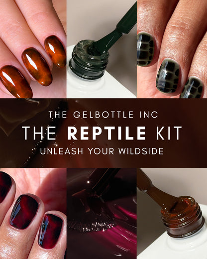 Kit de reptiles The GelBottle