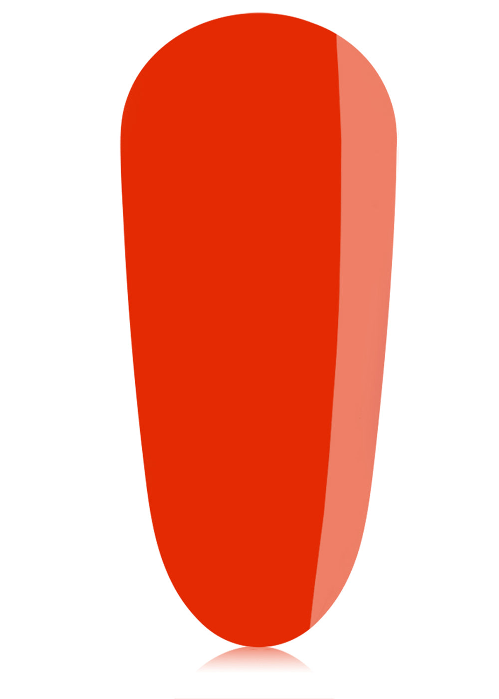 The GelBottle Booty