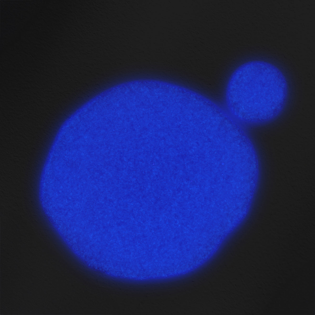 The GelBottle Treat