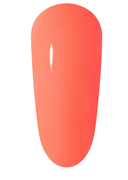 The Gelbottle The Vibe Collection