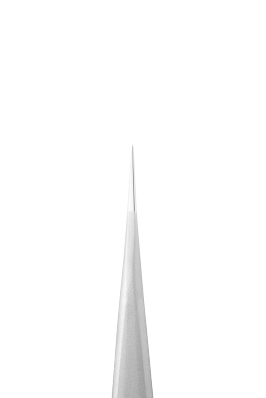 Staleks Pro Pinzas para pestañas Expert 41 tipo 10 rectas (TE-41/10)