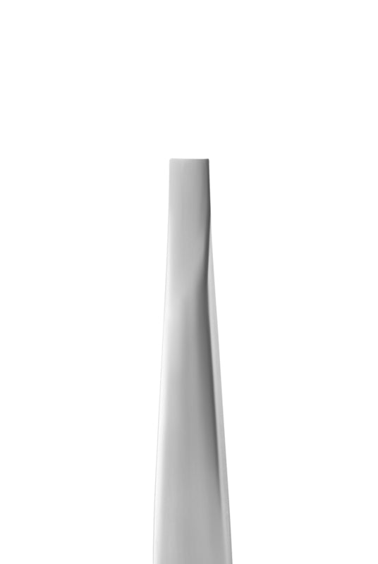 Staleks Pro Eyebrow Tweezers Expert 10 Type 1 Wide Straight (TE-10/1)